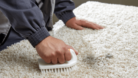 Professional Rug Cleaning Jacana